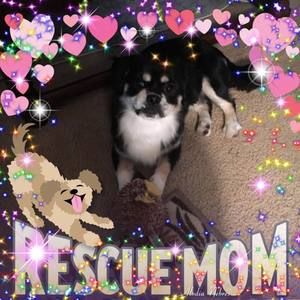 Meet your Posher, Diane